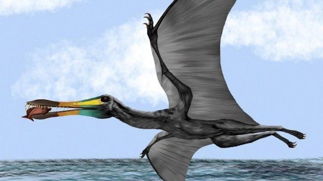 Las aves y los pterosaurios no compartieron el mismo camino evolutivo al adaptarse al vuelo.