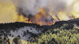 Efectos. Una de las consecuencias del cambio climático es el incremento de los incendios forestales a lo largo del planeta debido a las altas temperaturas que se registran.