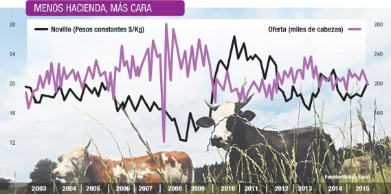 El campo se prepara para el despegue (foto 1)