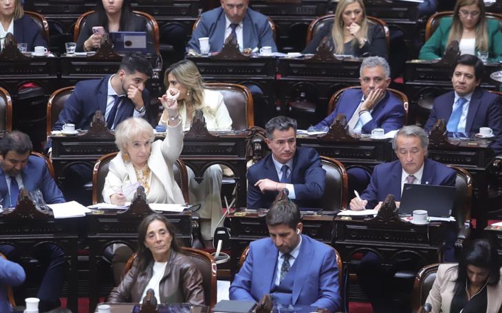 Los libertarios esperan una mayoría en sus propuestas para la sesión en Diputados. Los libertarios esperan una mayoría en sus propuestas para la sesión en Diputados.
