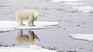 El océano Ártico aumentó 4,2 °C su temperatura superficial desde 1982.