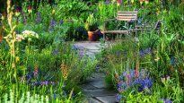 Cómo son los jardines salvajes, la nueva tendencia que pone la luz sobre lo natural.