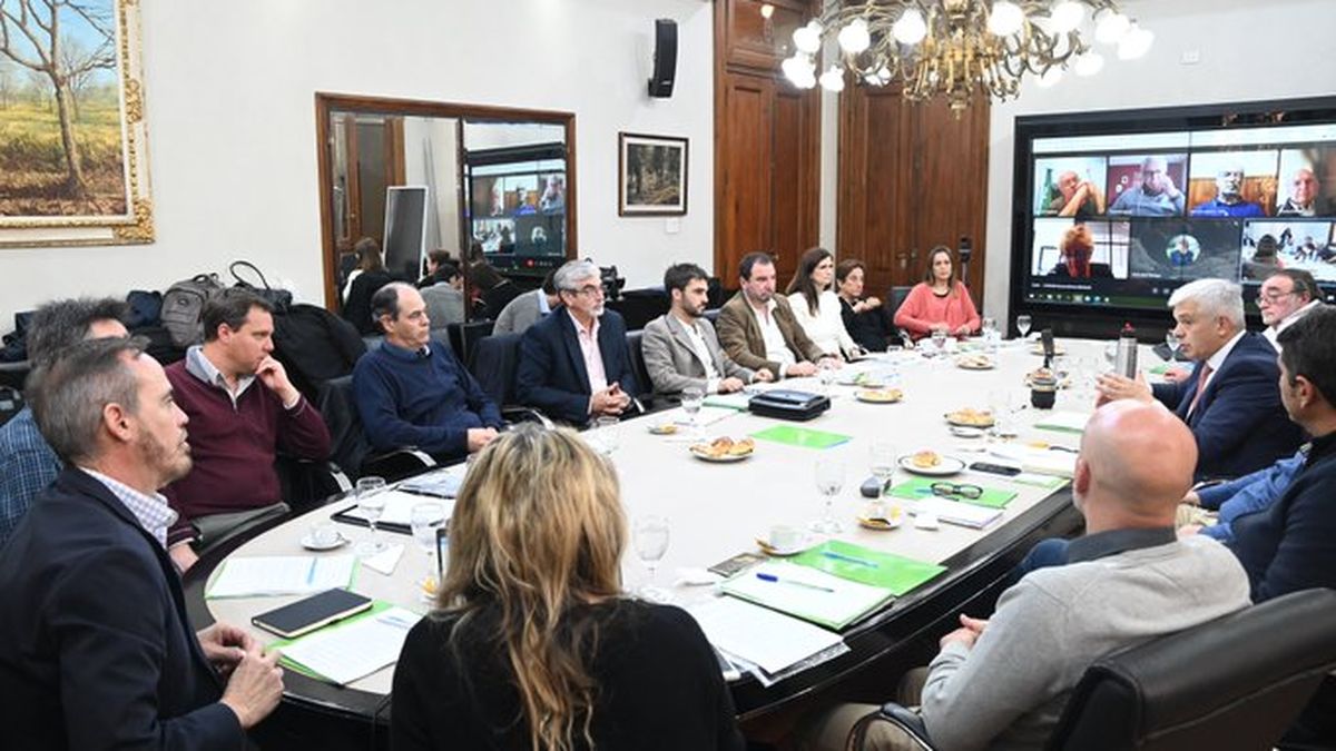 Domínguez planteó la necesidad de "reglamentar el uso propio de la semilla, que debe ser oneroso"