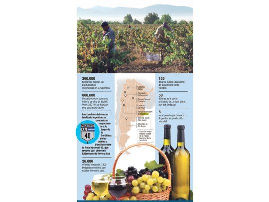 Rutas del vino, un éxito que crece en la Argentina
