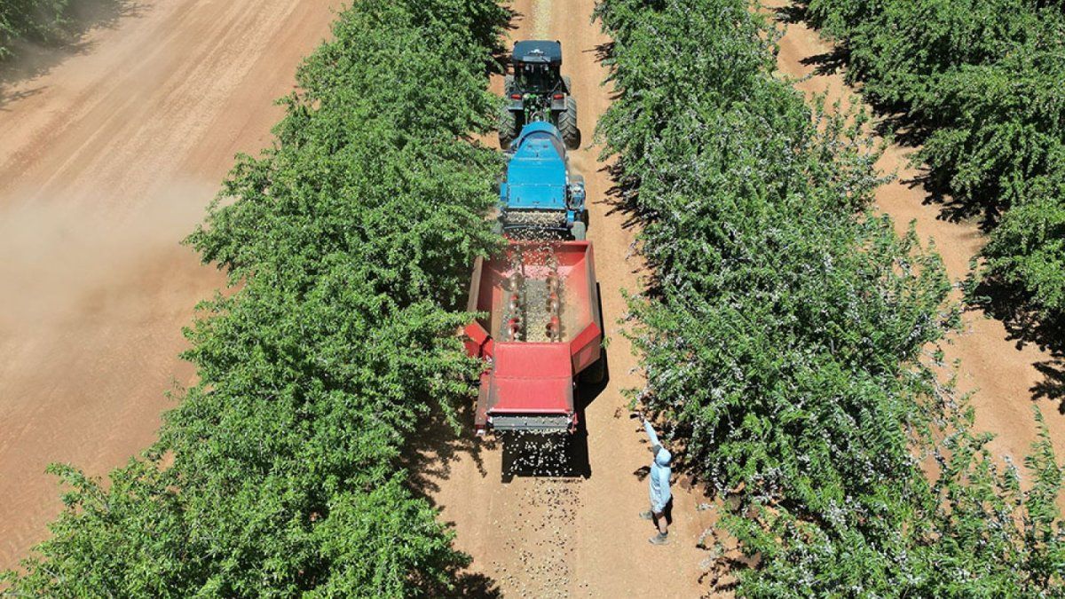Vendió más de 250 robots que trabajan en el campo y funcionan con <b>Inteligencia Artificial</b> thumbnail
