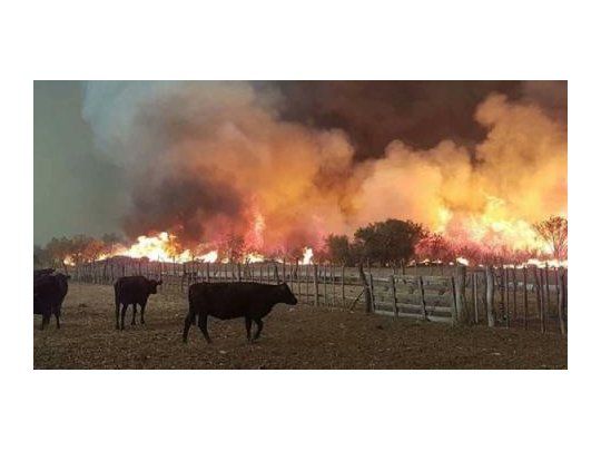Incendios forestales: en Mendoza y La Pampa se quemaron más de 230 mil hectáreas de campos