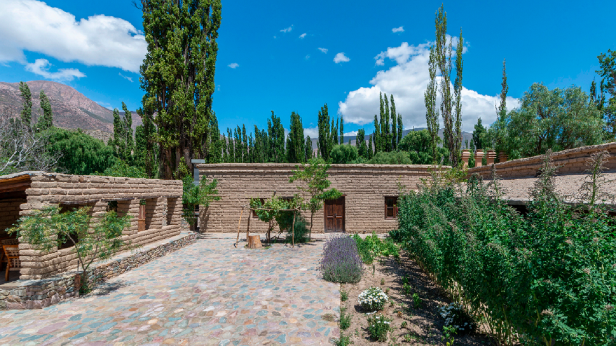 A new edition of the harvest is approaching in the Quebrada de Humahuaca