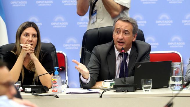 Nicolás Mayoraz y Silvia Lospennato presidirán el plenario en Diputados.