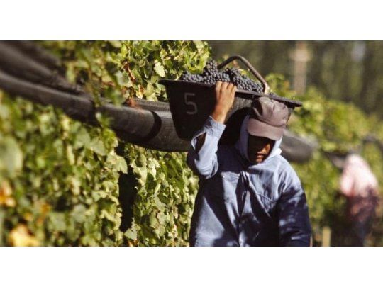 A contramano del mundo, la producción de vino en el país creció 25% en 2017