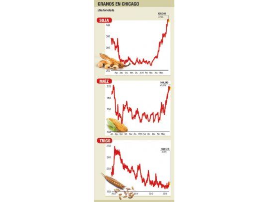 Signos de agotamiento en soja