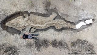 Hallan los restos de un Dragón Marino en Reino Unido.&nbsp;