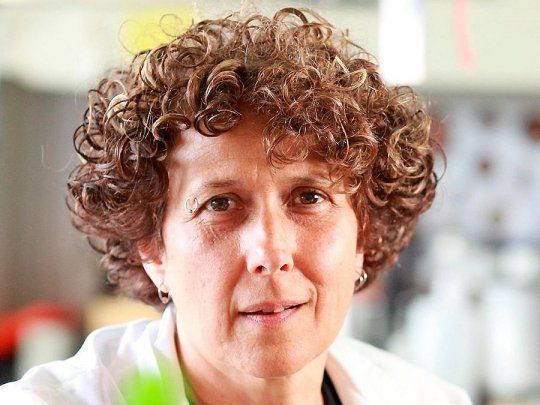 Andrea Gamarnik, investigadora superior del CONICET y jefa del Laboratorio de Virología Molecular de la Fundación Instituto Leloir.