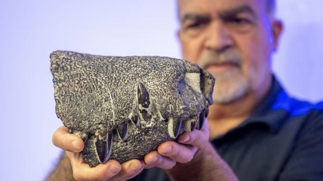 El científico Fernando Novas y su equipo describió la nueva especie Kostensuchus atrox. 
