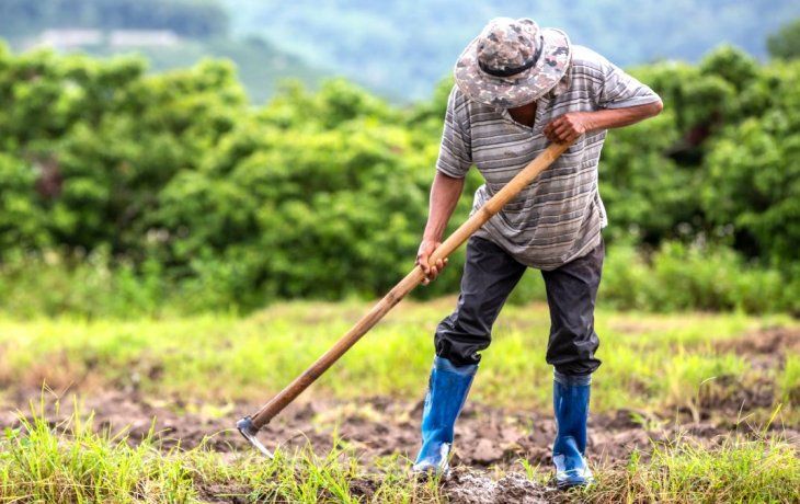 La remuneración para tareas permanentes en explotaciones agrarias, categoría peón, en febrero de 2026 se ubica en $1.000.908. La remuneración para tareas permanentes en explotaciones agrarias, categoría peón, en febrero de 2026 se ubica en $1.000.908.