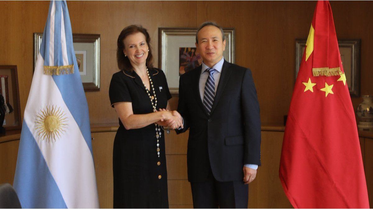 Reunión de Diana Mondino con embajador chino para bajar la tensión