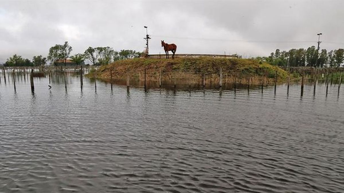 Buenos Aires Government will grant financing to flooded producers in Villegas