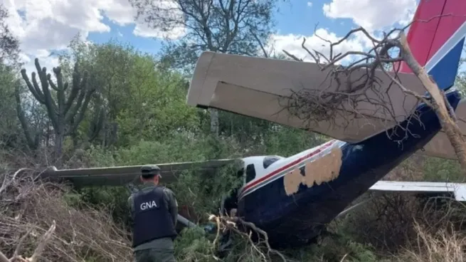 Cayó una avioneta narco en Salta: llevaba 130 kilos de cocaína.