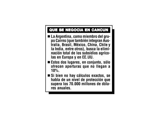 La Argentina cierra su posición para llevar a cumbre de OMC