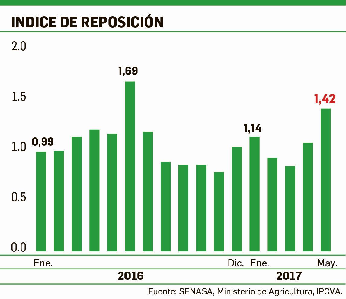 Feedlot: ¿producción o ruleta rusa? (foto 1)
