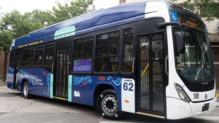 La nueva identidad de los colectivos que circularán por la Ciudad. 