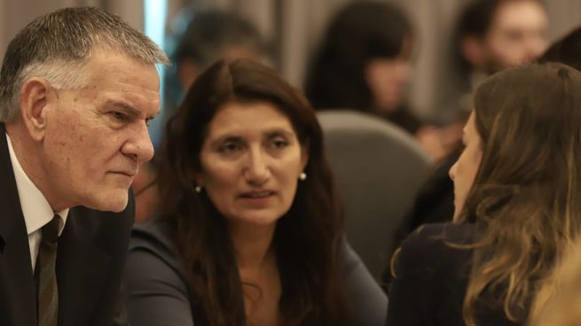 Un sector de Unión por la Patria pretende sostener la actual edad de punibilidad.
