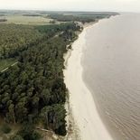 El gobierno modificó la dimensión y relocalizó la planta que iba a ser construida en Arazatí. El gobierno modificó la dimensión y relocalizó la planta que iba a ser construida en Arazatí.