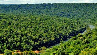 ámbito.com | Misiones.jpg