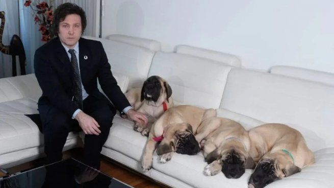 Javier Milei con sus perros.
