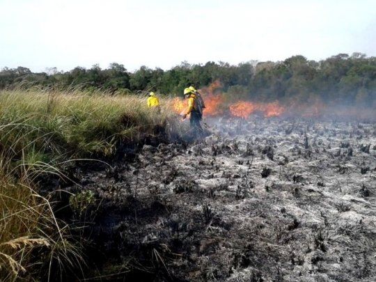 Incendios forestales en Misiones.