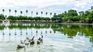 It is one of the best destinations in Chaco to relax and enjoy natural tourism. It is one of the best destinations in Chaco to relax and enjoy natural tourism.
