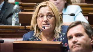 La senadora Graciela Bianchi se mostró en contra del voto consular.