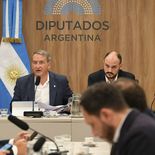 El plenario fue presidido por el libertario Nicolás Mayoraz. El plenario fue presidido por el libertario Nicolás Mayoraz.