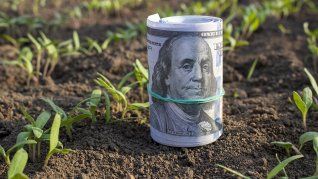 Los u$s7.000 millones que fueron liquidados de manera extraordinaria en septiembre correspondían a exportaciones que tradicionalmente eran realizadas durante el último trimestre del año. Los u$s7.000 millones que fueron liquidados de manera extraordinaria en septiembre correspondían a exportaciones que tradicionalmente eran realizadas durante el último trimestre del año.