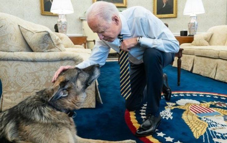 Champ vivía junto a Major, que los Biden adoptaron en noviembre de 2018 y se convirtió en el primer perro rescatado en vivir en la Casa Blanca.