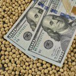Se publicará un valor de referencia, llamado “Dólar Exportador”.
