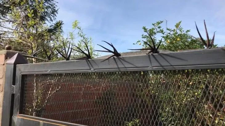 Reja donde quedó enganchado el delincuente