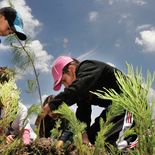 México tendrá su Jornada Nacional de Reforesración.