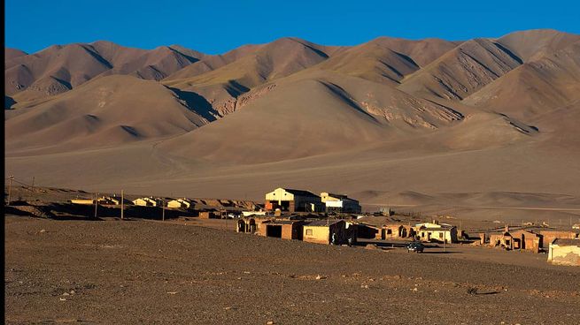 El Tolar Grande:&nbsp; maravilloso desierto de la Puna argentina.