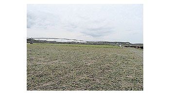 ámbito.com | Con el puertode BahíaBlancarelativamentecerca, laproducciónde soja es unnegocio conpotencial enel ValleMedio.