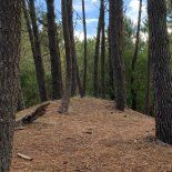 Un destino para disfrutar la naturaleza y desconectarse de la rutina. Un destino para disfrutar la naturaleza y desconectarse de la rutina.