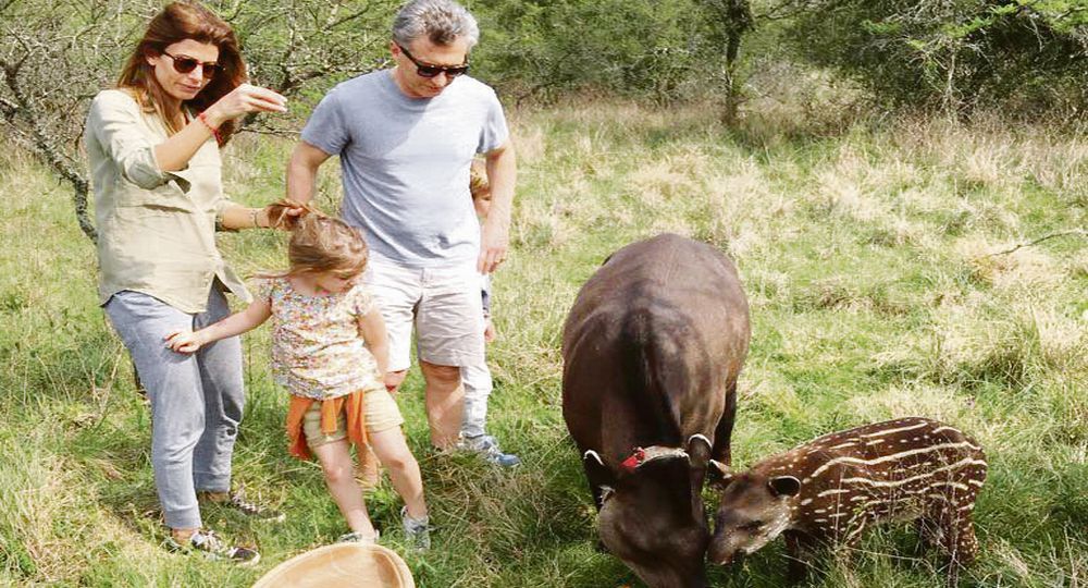 Descanso. Mauricio Macri, Juliana Awada y su hija Antonia, el fin de semana en los Esteros del Iberá, frente a un pecarí y su cría.