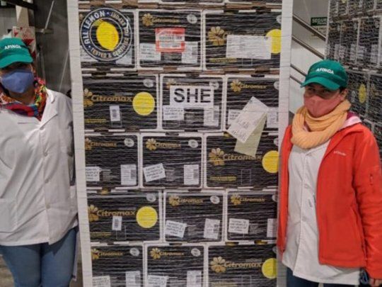 Apertura. Por pimera vez, los limones tucumanos llegarán a China.