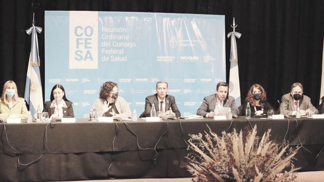 escenario. Carla Vizzotti y Omar Gutiérrez, junto a las autoridades sanitarias de Neuquén, encabezaron la reunión del Consejo Federal de Salud, en el que se analizó el avance de los casos de covid en el país.