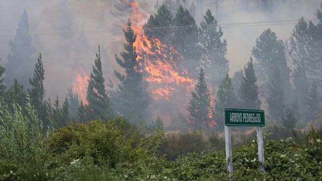 Las llamas en Epuyén arrasaron a cerca de 2.700 hectáreas.