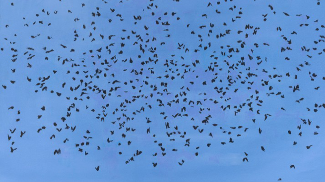 Los pájaros que surcan los cielos de Fabián Burgos, en una de las nuevas obras del artista