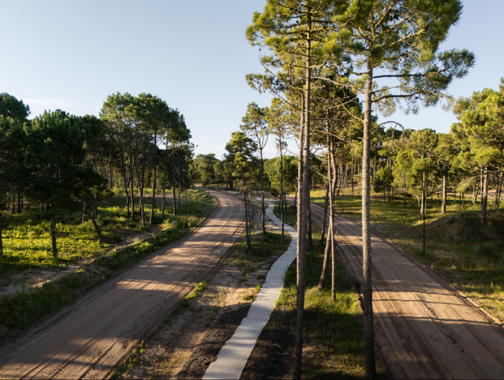 El entorno pinamarense combina bosques y playas. El entorno pinamarense combina bosques y playas.