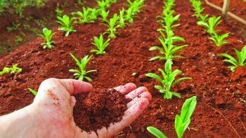 Será necesario que reduzcamos el impacto ambiental de las plantas y que permitamos a los agricultores evolucionar hacia prácticas agrícolas sostenibles y regenerativas