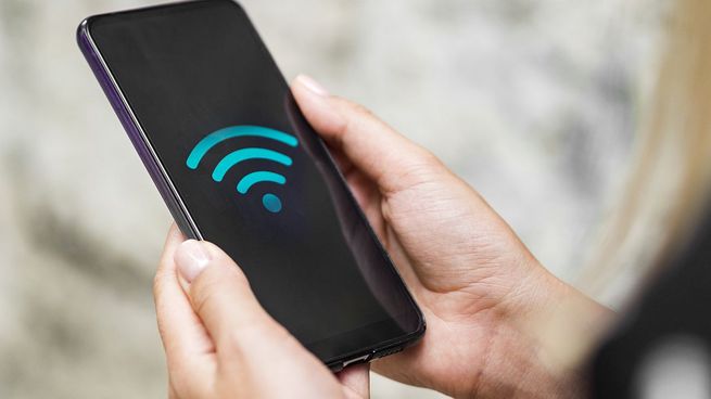 El estudio expuso a ratones a campos electromagnéticos con frecuencias similares a las de los celulares y el WiFi.