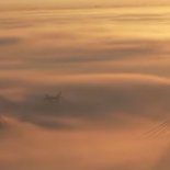 Así se ve el puente de Zárate por la intensa niebla Así se ve el puente de Zárate por la intensa niebla