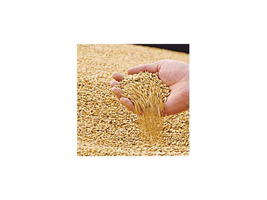 Los productores agropecuarios y las nuevas obligaciones de información